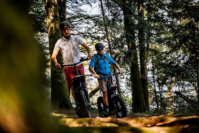 2-Hour Walk - Castles and Vineyards - Traveler Experiences