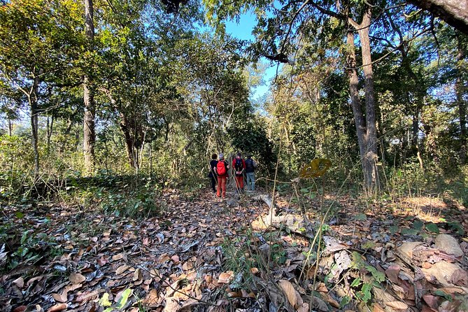 2 Hours Nature Walk in Chitwan National Park