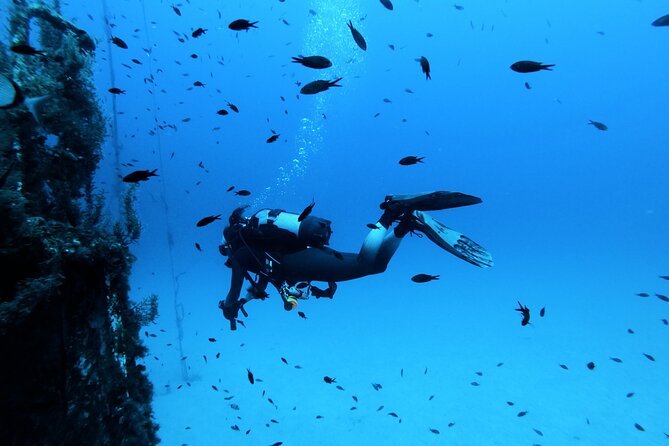 2 Scuba Fun Dives for Certified Divers in St Pauls Bay