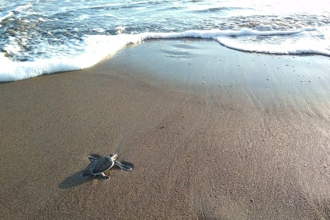 3 Day / 2 Night Tour in Tortuguero - Itinerary