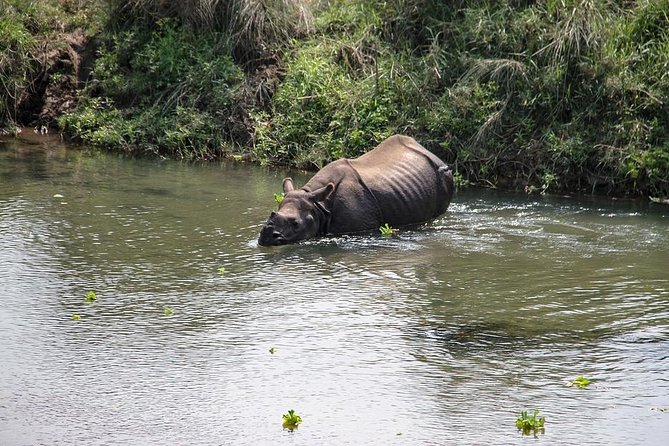 3-Day Chitwan Jungle Safari Tour From Kathmandu - Tour Overview and Highlights