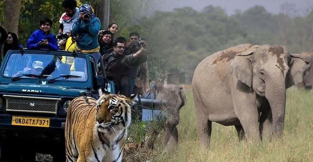 3-Day Delhi & Jaipur Tour With Jim Corbett National Park . - Tour Overview and Details