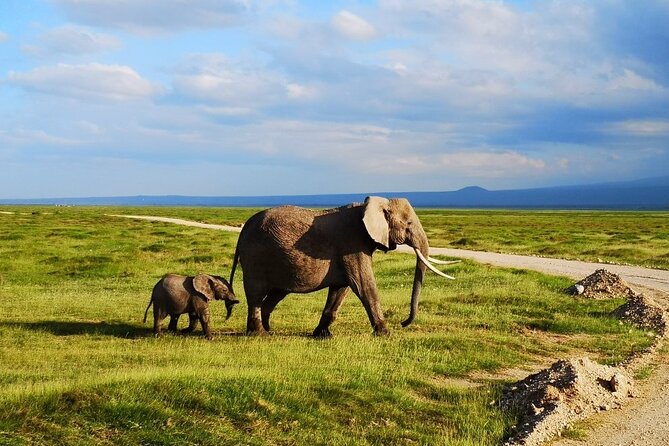 3 Day Diani Beach to Tsavo East & West