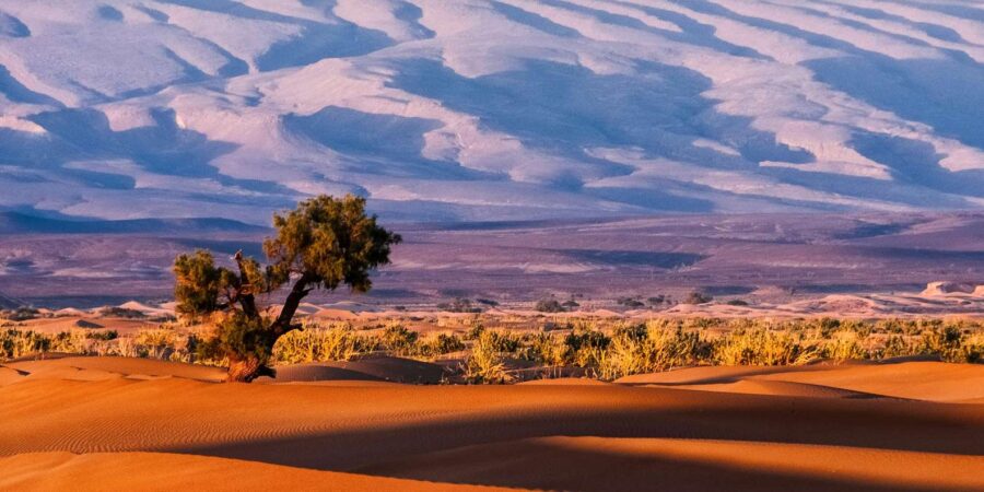 3-Day Expedition to the Sahara Desert in Merzouga
