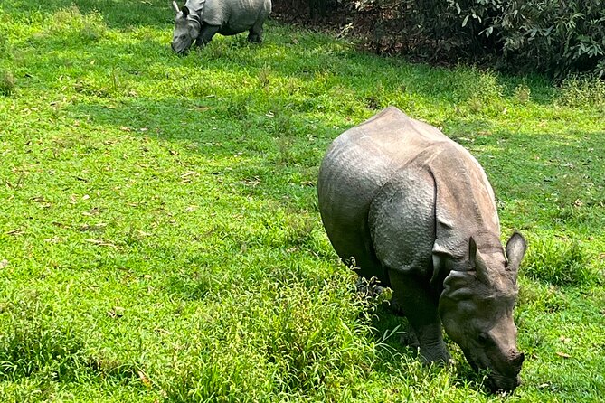 3-Day Guided Safari Tour in Chitwan National Park in Nepal