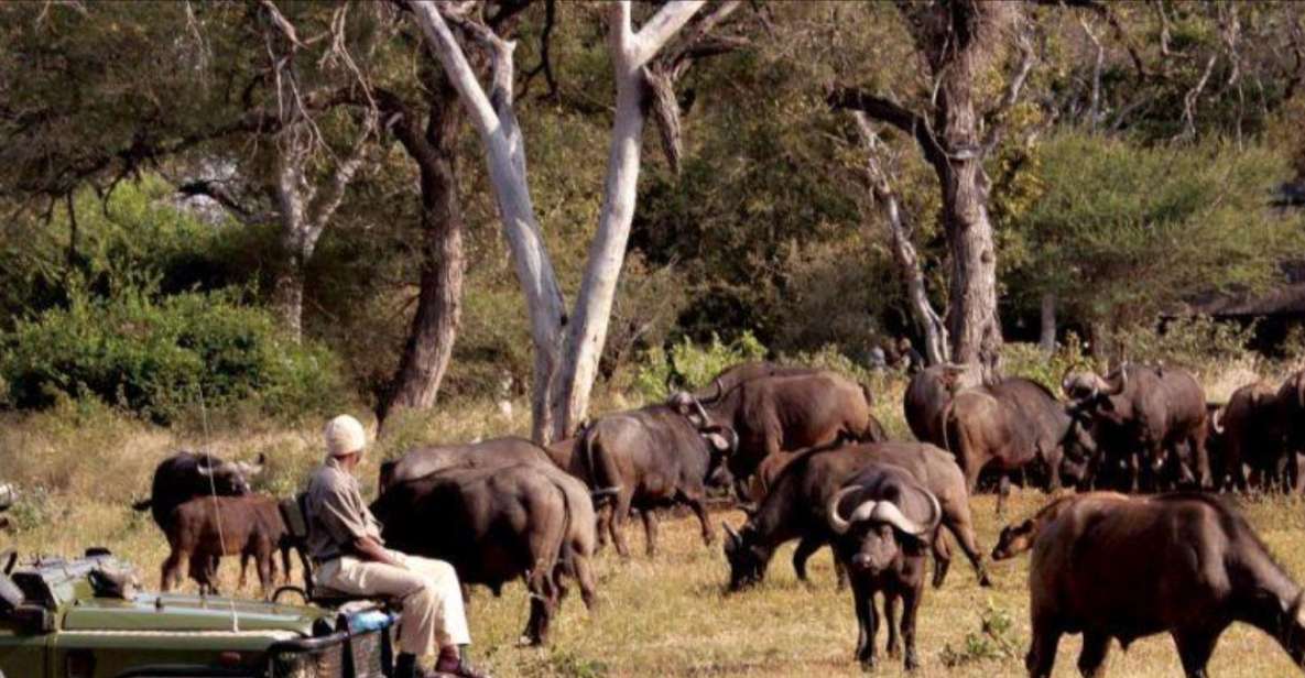 3 Day Hluhluwe & Isimangaliso Wetlands Pk Tour From Durban - Exploring Hluhluwe Imfolozi Game Reserve