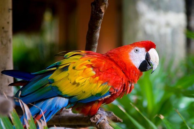 3 Day Iquitos Jungle Adventure at Muyuna Lodge