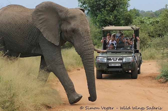 3-Day Kruger National Park Open Vehicle Safari