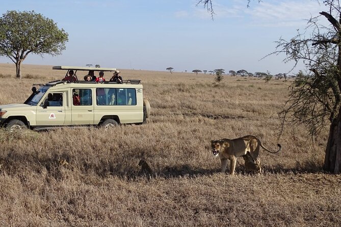 3-Day Maasai Mara Small Group Safari in a 4 X4 Land Cruiser Jeep