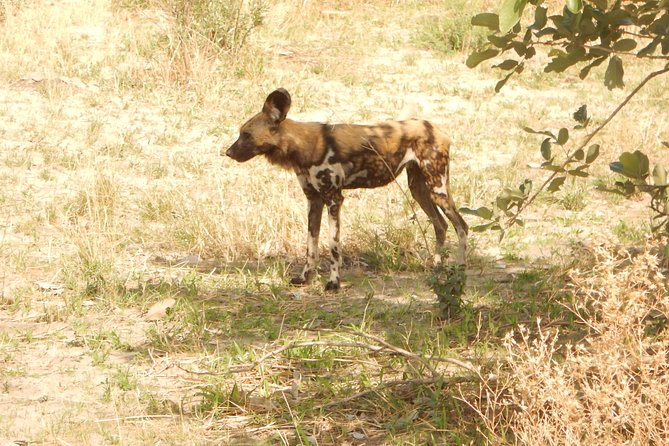 2 Best 3 Day Tours In Maun