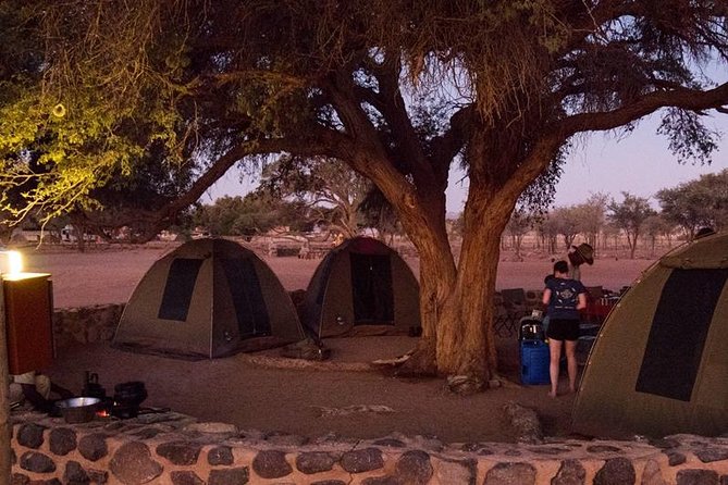 6 Best Safari Tours In Windhoek
