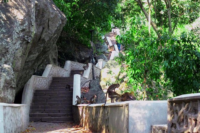 3 Day SriLanka Cultural Tour:Dambulla/ Sigiriya/ Polonnaruwa / Minneriya/ Kandy