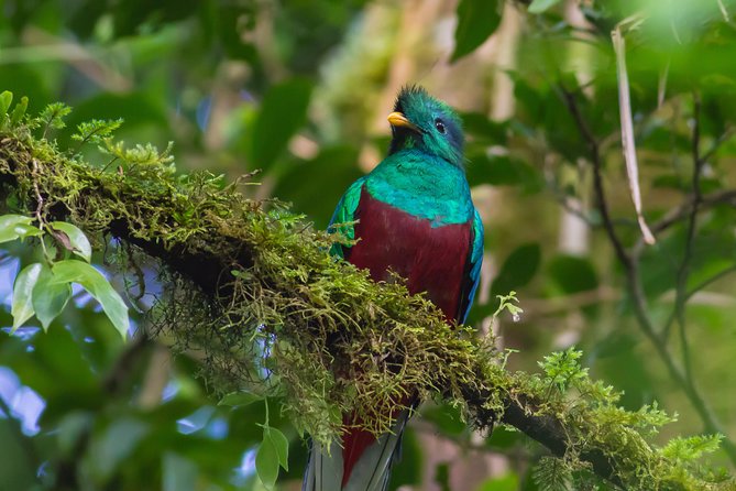 3-Day Tour of Cobán and Semuc Champey From Antigua