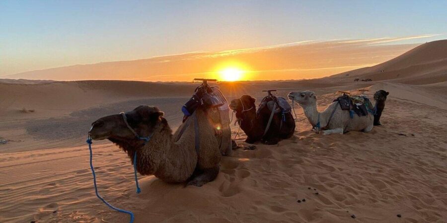 20 Best 3 Day Tours In Ouarzazate