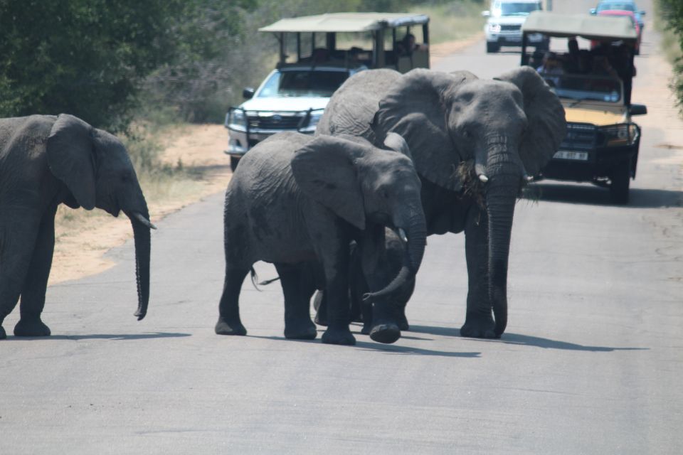 3 Days 2 Nights Panorama Tour & Kruger National Park Safari - Tour Overview