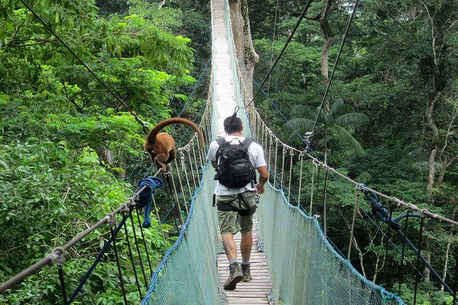 3 Days 2 Nights – Peruvian Tambopata Jungle - Tour Overview