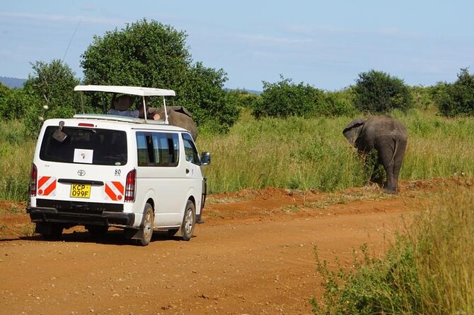 3 Days Maasai Mara Guided Safari From Nairobi - Safari Overview and Highlights