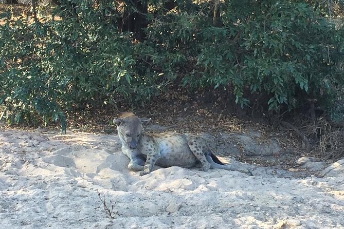 3 Days Selous (Nyerere National Park)