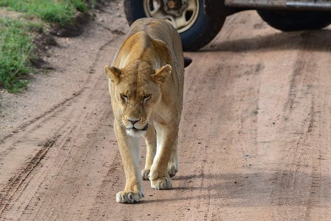 3 Days Serengeti & Ngorongoro Tour