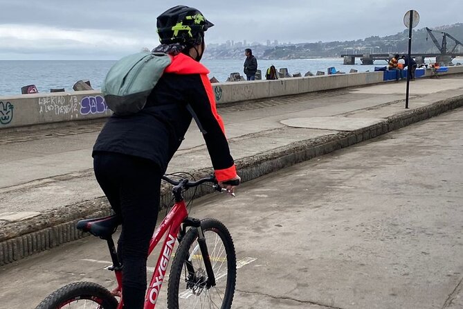 3-Hour Bike Tour Along the Coast of Viña Del Mar and Valparaíso