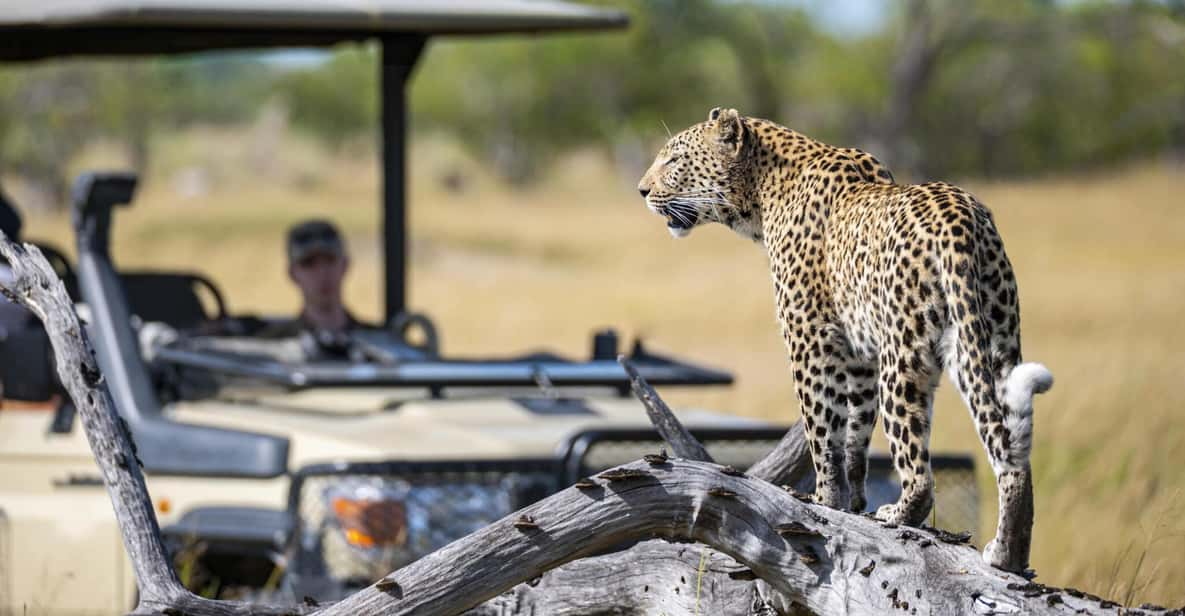 3 Hour Blue Canyon Private Reserve Game Drive - Exploring Blue Canyons Highlights