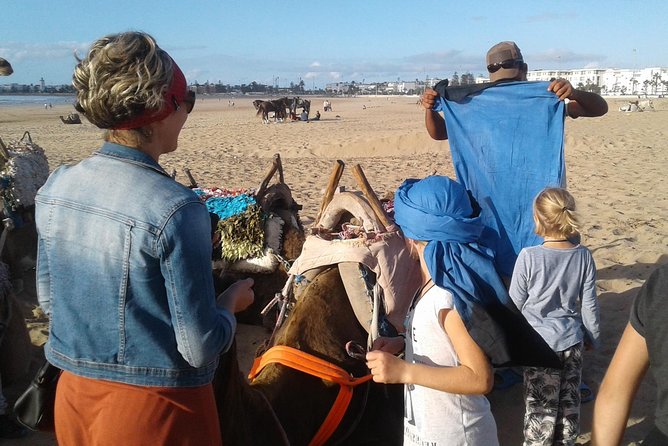 3-Hour Camel Ride at Sunset - Experience Overview