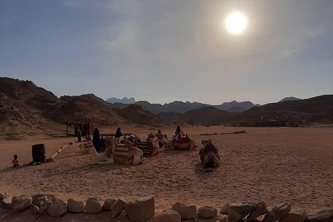 3 Hours Safari by Quad Bike - Hurghada