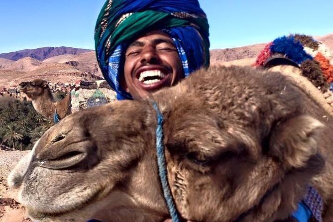 3 Hours Tangier Sightseeing & Camel Trek