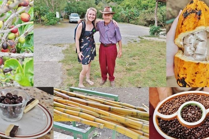 3-in-1 Monteverde Cloud Forest Coffee, Chocolate and Sugar Cane Tour