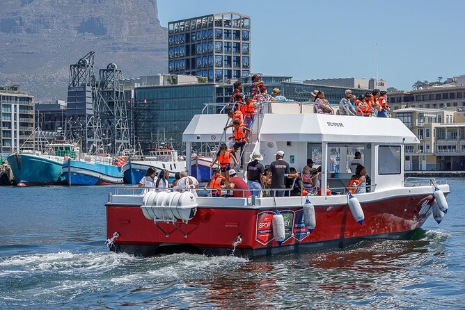 30min Harbour Boat Cruise Cape Town