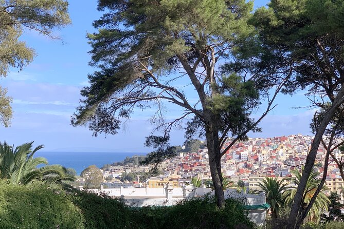 3h Private Walking Tour in Tangier Kasbah Medina & Colorful Souks