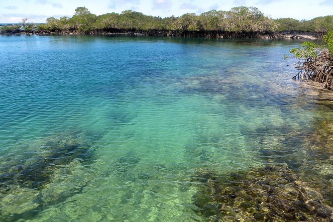 4-Day Galapagos Land Tour Visiting Isabela and Santa Cruz