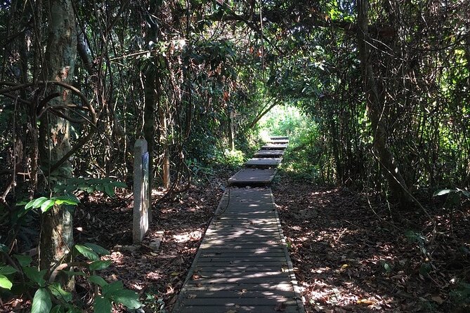 4-Day Jungle Experience in Taman Negara From Kuala Lumpur - Accommodation Options