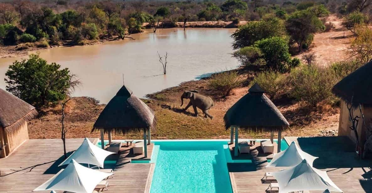 4 Day Kapama Safari From Johannesburg - Travel and Accommodation