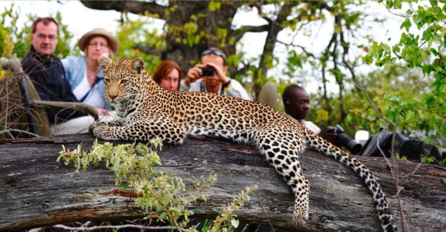 4 Day Private Garden Route & Wine Route Safari Fro Cape Town