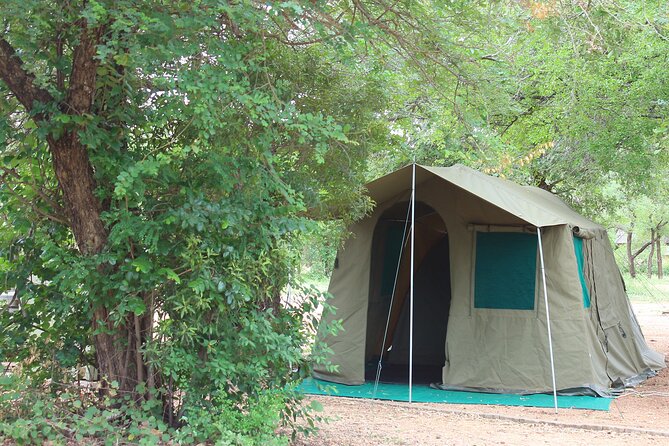4 Day Private Kruger Under Canvas Safari