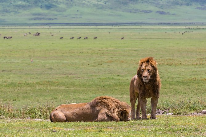 4-day Tanzania Safari