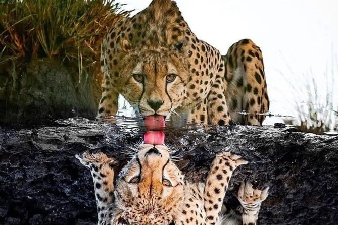 4 Days /3 Nights Tarangire, Serengeti and Ngorongoro Crater