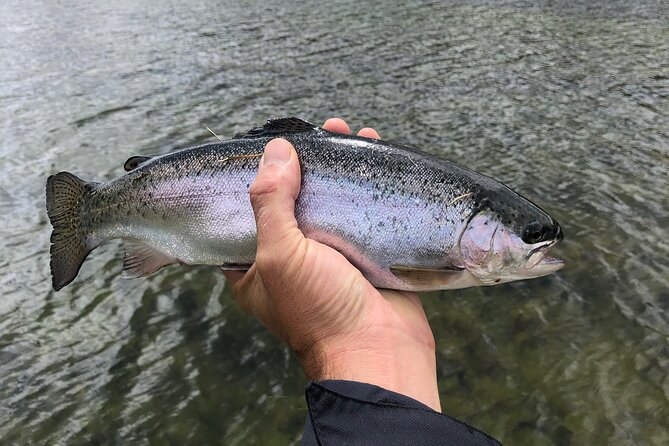 4 Days 3 Nights Trout Fly Fishing Trip in the Andes of Peru
