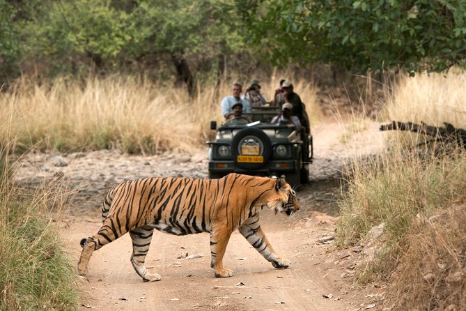 4 Days Golden Triangle Tour With Ranthambore From Delhi - Day 1: Delhi to Agra