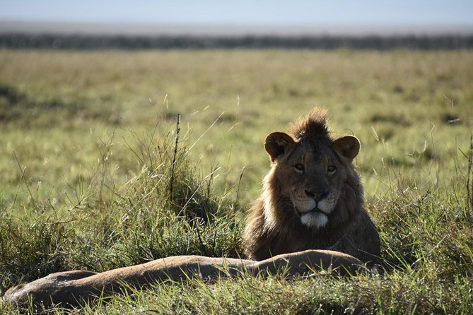4 Days Tanzania Group Safari to Serengeti, Crater and Tarangire