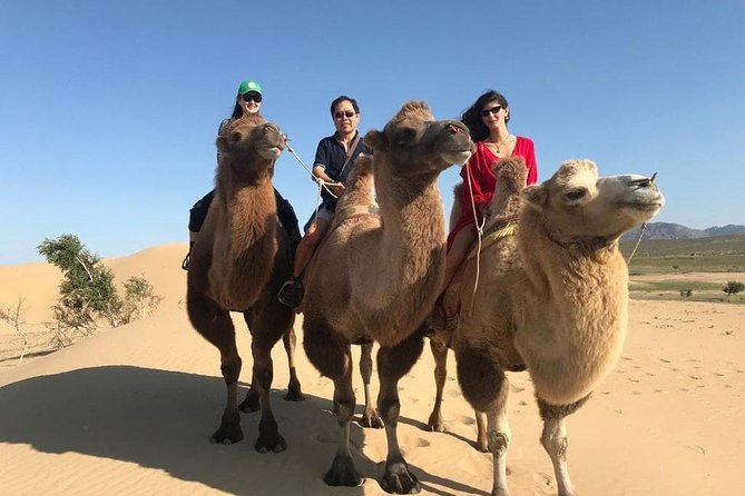 4 Days-The Best of Mongolia Collection Tour