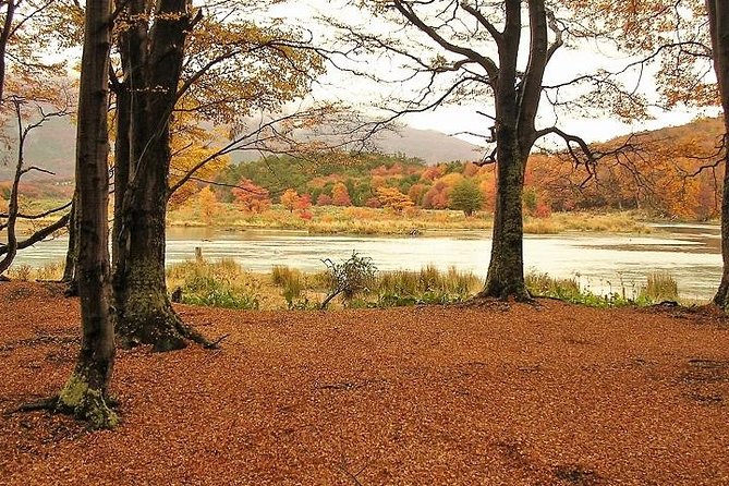 4-Hour National Park – USHUAIA (Shared Tour)