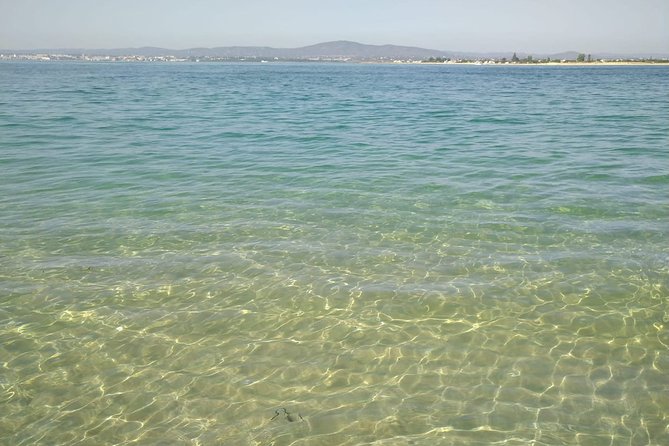 4-Hour Private Boat Tour in Ria Formosa