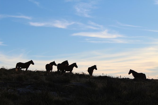 4X4 Tour – Discovering Serra D’arga