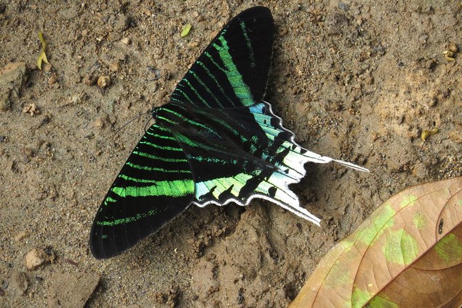 5-Day All Inclusive Cuyabeno Amazon Adventure With Accommodation in Eco Lodge