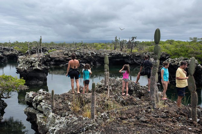 5-Day Guided Galapagos & Los Tuneles Tour