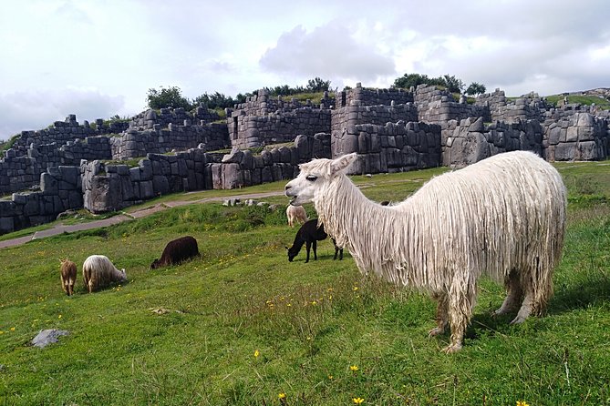 5-Day Machu Picchu Private Guided Historical and Cultural Tour