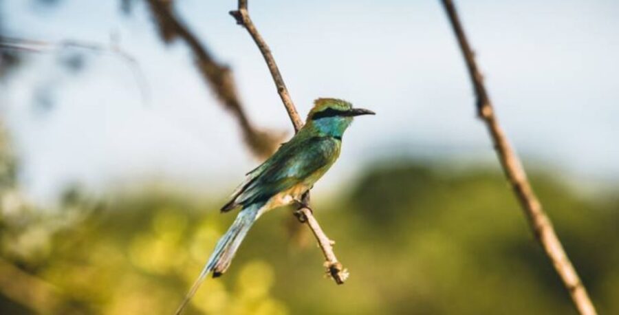 5-Day Nature Wildlife Photography Retreat - Overview