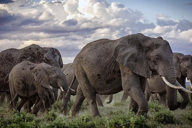 6 Best Tours In Diani Beach